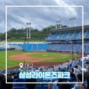2022 레트로 콘서트 | 대구 라이온즈파크 삼성 롯데 클래식시리즈 야구장 블루존 3-7 33열