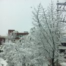 강촌펜션 이미지