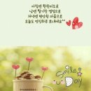 우드 스토리 이미지