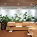 트랜드위드 이미지