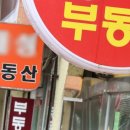 신임공인중개사사무소 이미지