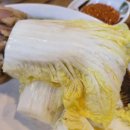 보쌈의 전설 네이버블로그