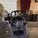 메이 | [W3] 메이스튜디오 웨딩촬영 후기