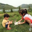 꿀등목장 네이버블로그