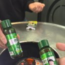 돈내코삼남매