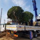 하루정원 이미지