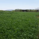 경주태양광 이미지