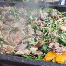 쌍쌍오리한마당 이미지