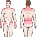 엠(M)자동차 이미지