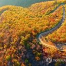 엔젤민박 이미지