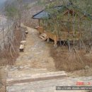 백야리산림욕장 이미지