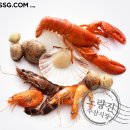 산지닷컴