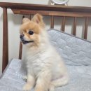 24시 잠실온 동물병원 이미지