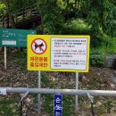 광탄로 | 강원도 영월 가볼만한곳:: 한반도지형(소형견 동반가능) +한반도식당 막국수