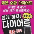 비채나점핑