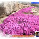 산들내펜션 이미지