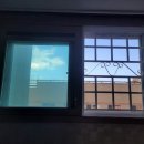 순천덕진의봄 이미지