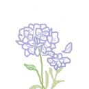 31140-5-23-5 이미지