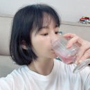 크로스핏 알파 | 필켓 알파CD 신소재원료 자두맛 캔비클리닝 후기