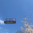 마론뉴데이CC 티스토리