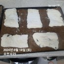 김밥과라면 이미지