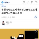 (사고영상 주의) 어제자 횡단보도 덤프트럭 우회전 사망사고 이미지