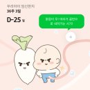 효선생서울관악동작지사 | 정부지원 산후도우미 신청ㅣ서울 관악구 산후도우미 업체 예약하기 (비교 및 추천, 예약 후기)