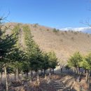 홍계마을 이미지