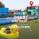 펫아울렛수영 | 고속도로 휴게소에 강아지 수영장에 무료 펫파크까지?!