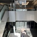 남도분식강남N타워 | 강남역 샤브샤브 파브란트 후기