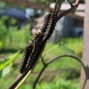 (주)나비원 이미지