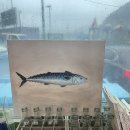 남해공설운동장 | [경남/남해] 유서방 회 떠가시다 &amp; 유김밥 포장 솔직 리뷰