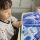 창작그림책 추천 키위북스 신학기 추천도서 후기