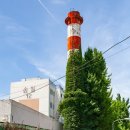 애경유지공업 앞 이미지