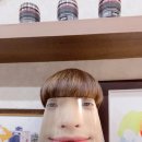 곤실 이미지