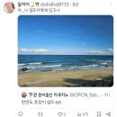 한반도 호랑이 엉뜨 on 이미지