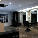 금성장식 이미지
