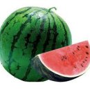 W PT Studio 이미지