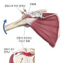 반석한의원 이미지