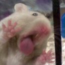 맹그로브 신설 이미지