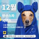 스퀘어독스 서산점 | 조커 첫 스파목욕&#34;스퀘어독스 서산점&#34; 후기