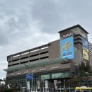 스타켄넬 | 스타필드마켓 동탄점 북그라운드 이용후기 별마당 / 스타벅스 매장컵 이용 가능 정보