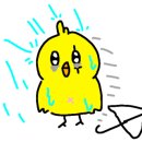 냥이네 목욕탕 이미지