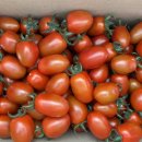 상포농장 이미지