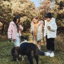 리틀피크닉 이미지