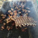 톨게이트 낚시터 이미지