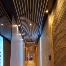 (주)청송엘리베이터 이미지