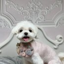 사림동253 이미지