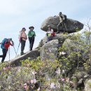 유동마을회관 이미지