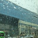 피카소동물병원 이미지